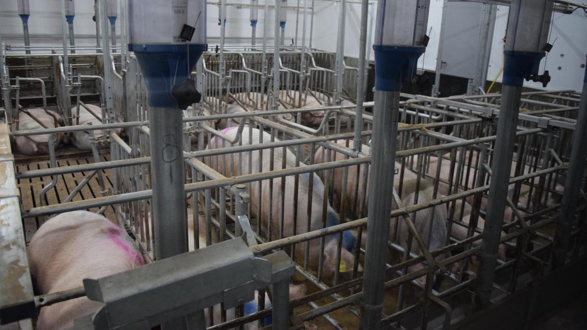 De bezoekers kunnen vanuit de de gang ook een blik werpen op de dekstal.