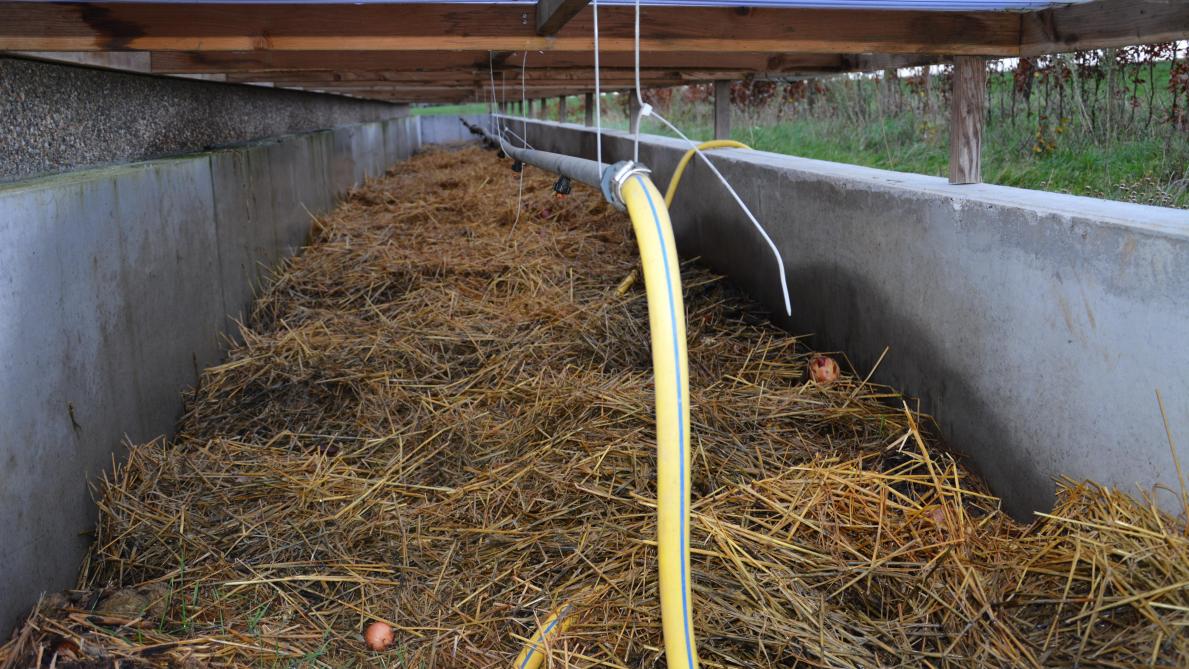 Met zijn fytobak zuivert Niels Caignie spuitresten via bacteriële afbraak in een substraat.