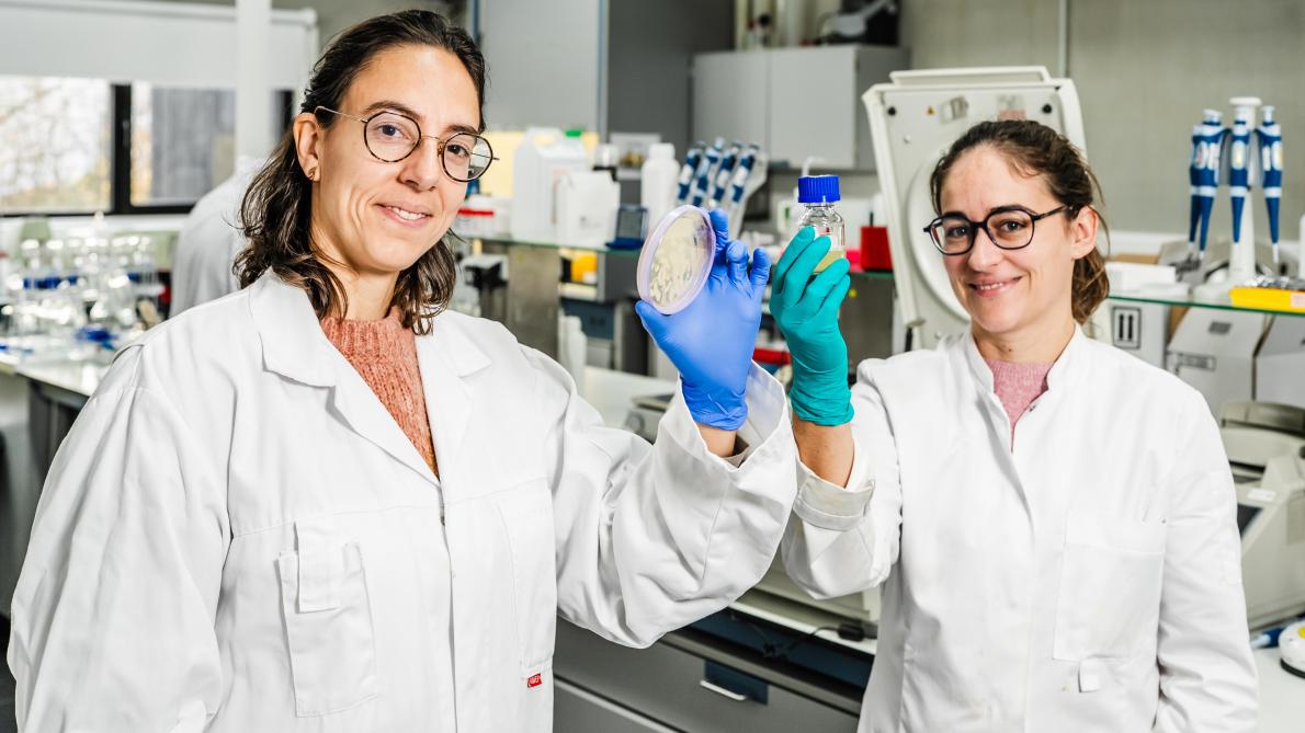 “Het is de kunst om op zoek te gaan naar net die bacteriën die planten sterker maken”, zegt Sofie Thijs van UHasselt (links op de foto).