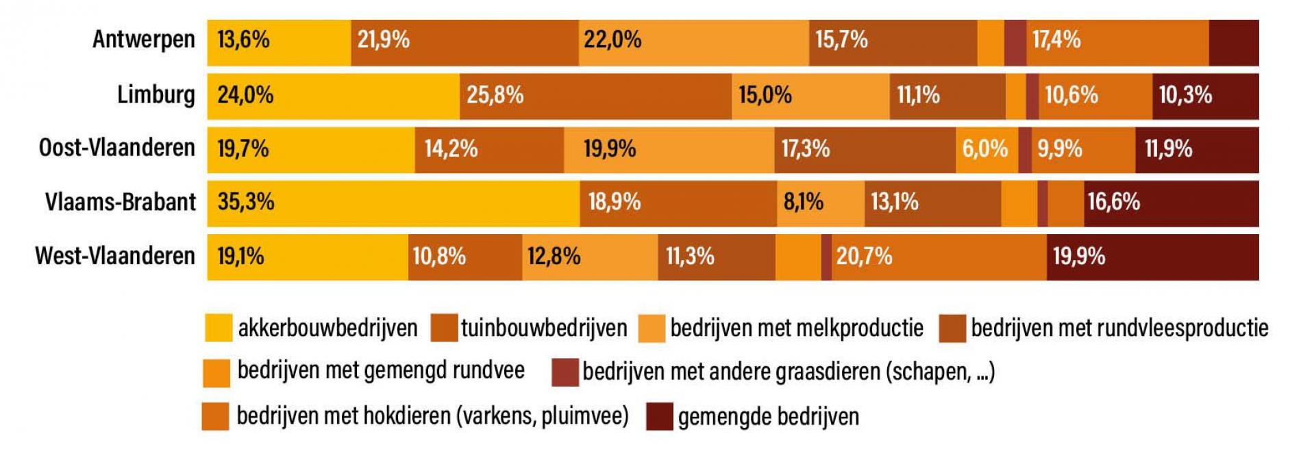 Figuur 3: De verhouding van beroepsmatige landbouwbedrijven per sector in elke Vlaamse provincie in 2023.