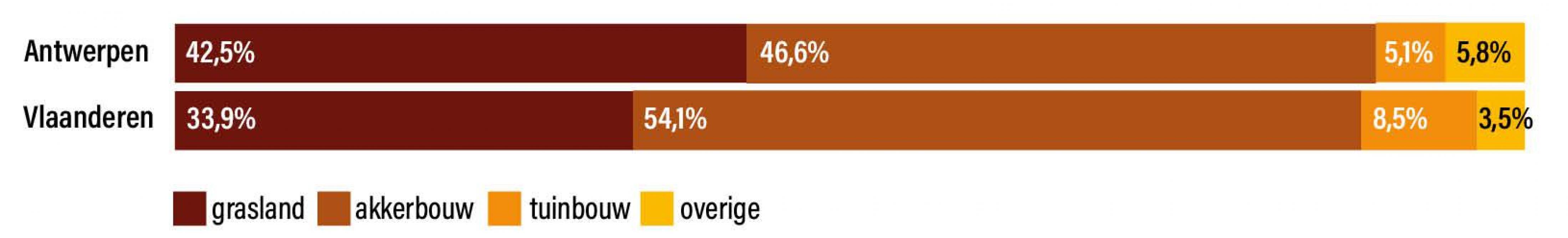 Figuur 4: Het oppervlakte van de teeltcategorieën ten opzichte van het totale oppervlakte van het landbouwgebruik in de provincie Antwerpen en het Vlaams Gewest in 2025.