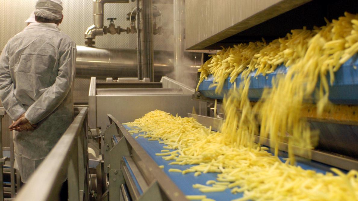 De frietkwaliteit was in 2025 zeer goed voor alle (half)vroege rassen en op beide proefvelden.