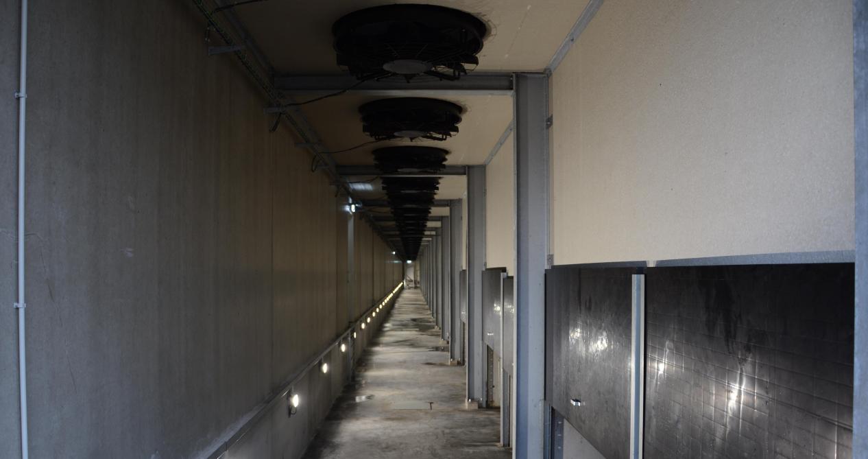 Zicht op de drukkamer in de nieuwe bewaarloods, waar ventilatoren verse buitenlucht inblazen.