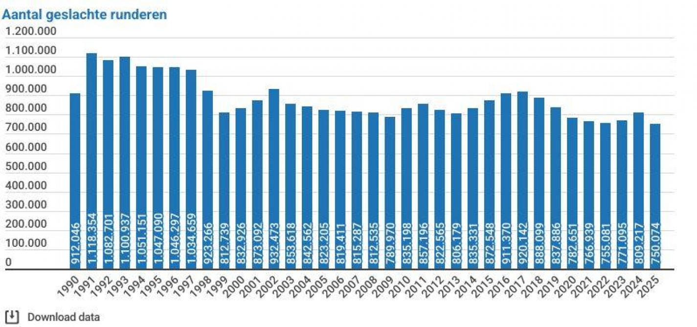 Figuur 1. Evolutie van het aantal geslachte runderen.
