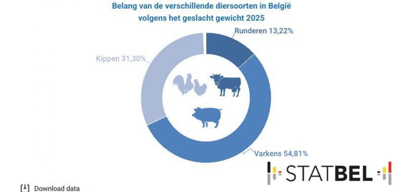 Figuur 3. Belang van de diersoorten in België volgens het geslacht gewicht 2025.