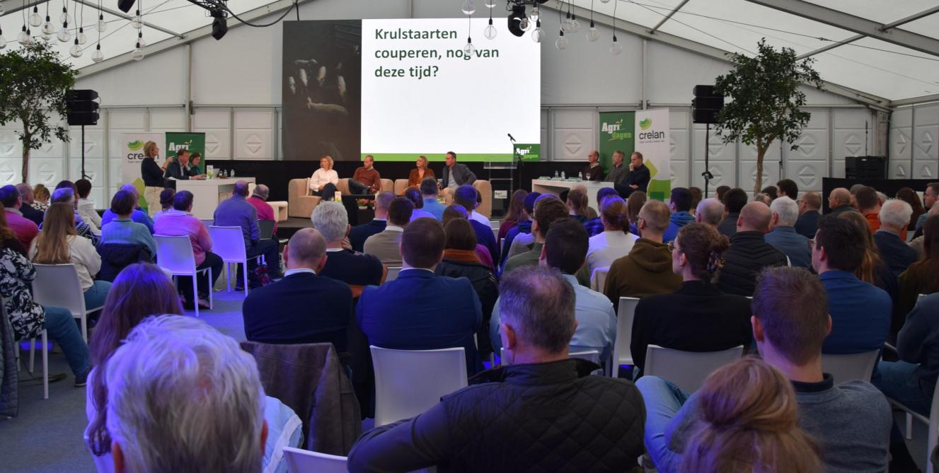 Een volle zaal voor het varkensseminarie op de Agridagen.