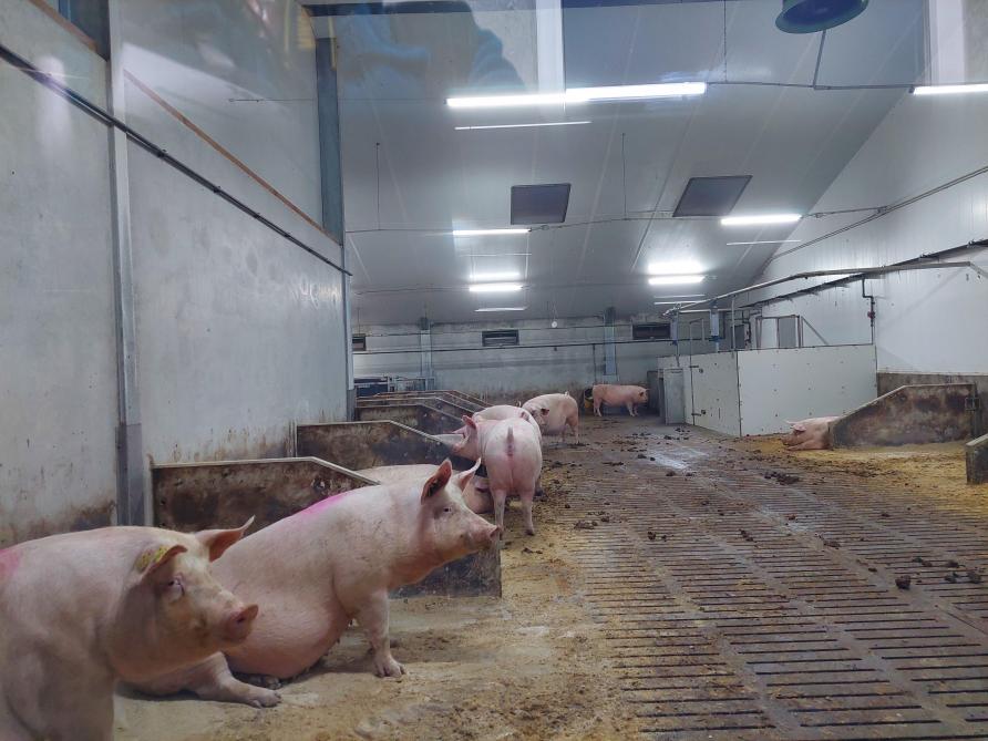 In de groepshuisvesting heerst een opvallende rust. Achteraan rechts bevindt zich de berigheidsdetectie.