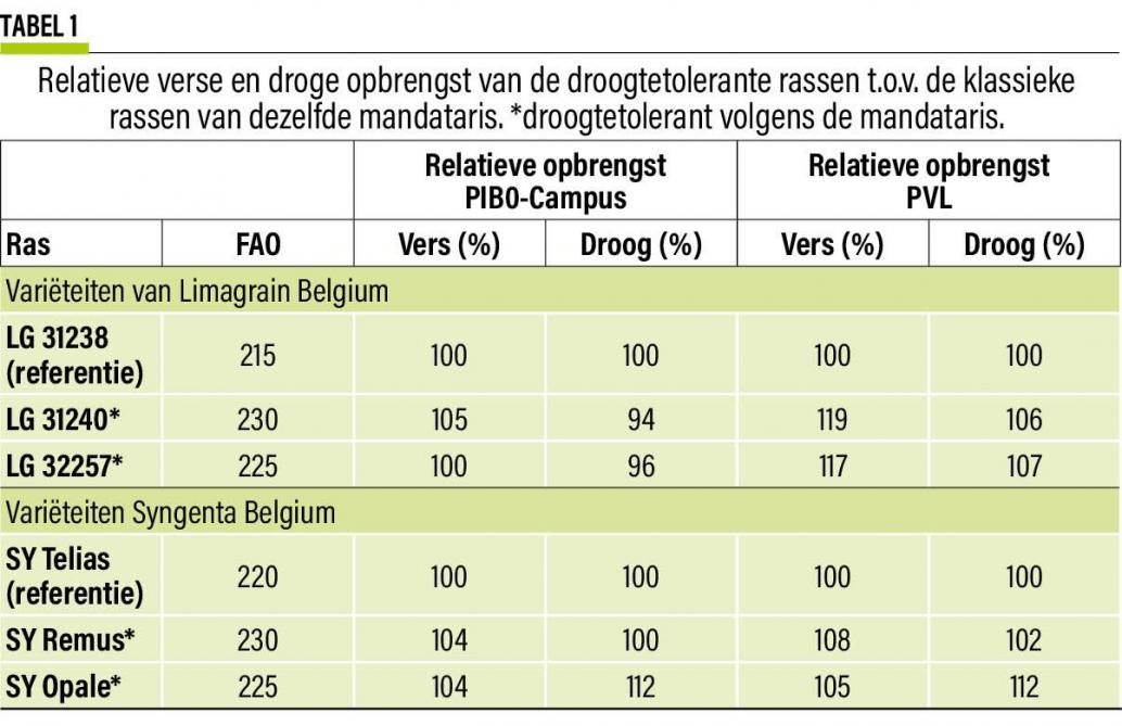 Tabel 1. Relatieve verse en droge opbrengst van de droogtetolerante rassen ten opzichte van de klassieke rassen van dezelfde mandataris