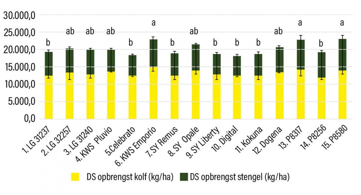 Figuur 1: Drogestofopbrengst van de rassen van diverse mandatarissen bij PIBO-Campus in 2025.