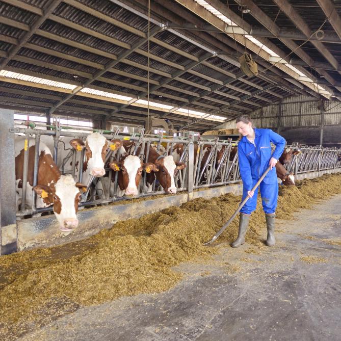Praktijkervaring opdoen tijdens het starterstraject landbouw.