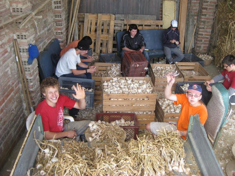 Enkele leerlingen van het VLTI gingen in 2008 op buitenlandse stage in Frankrijk.