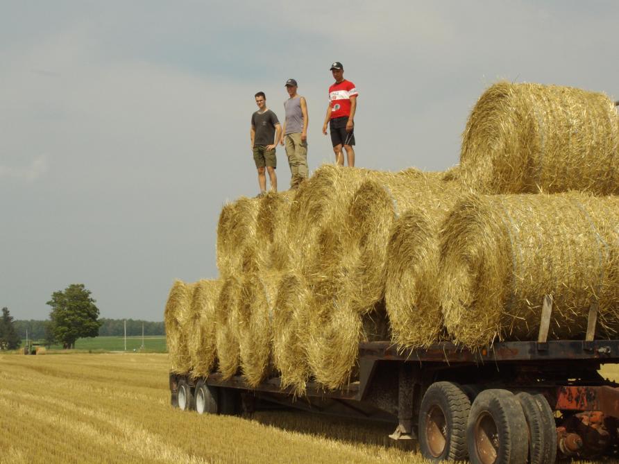 Enkele leerlingen van het VLTI gingen in 2008 op stage naar Canada.