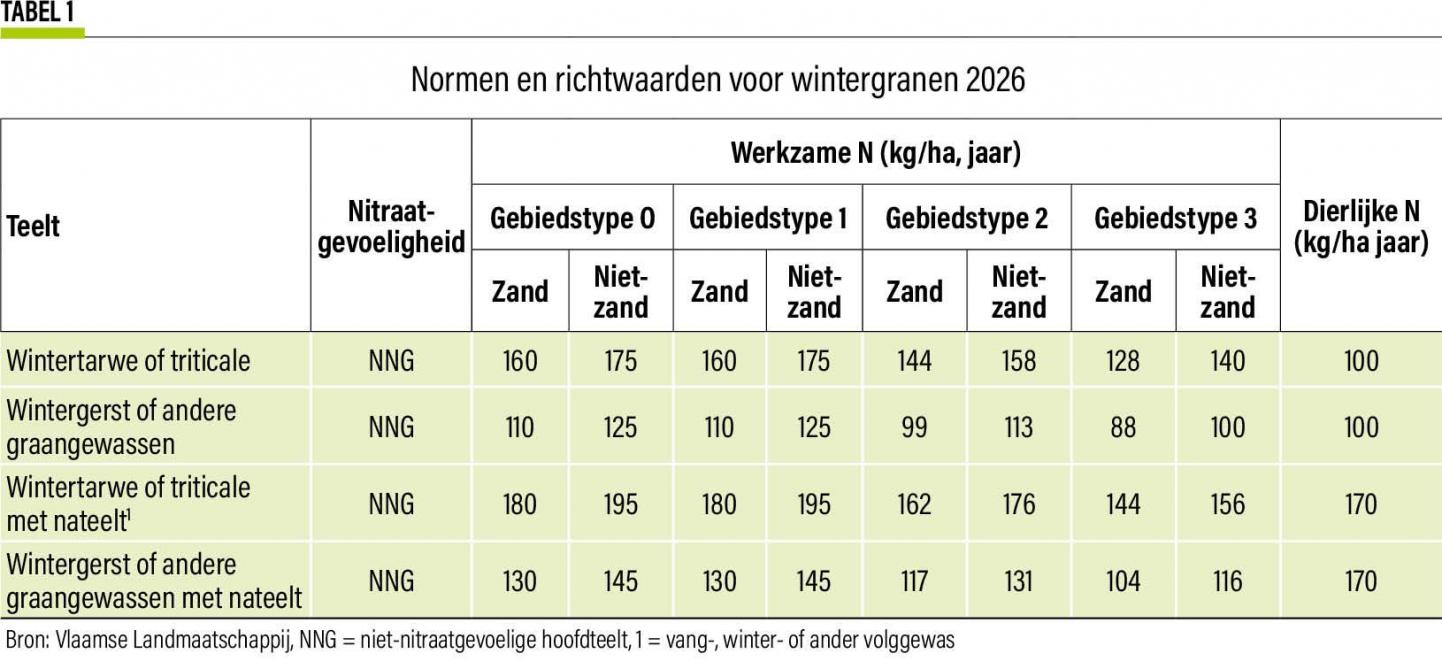 13-wintergranen-01-web