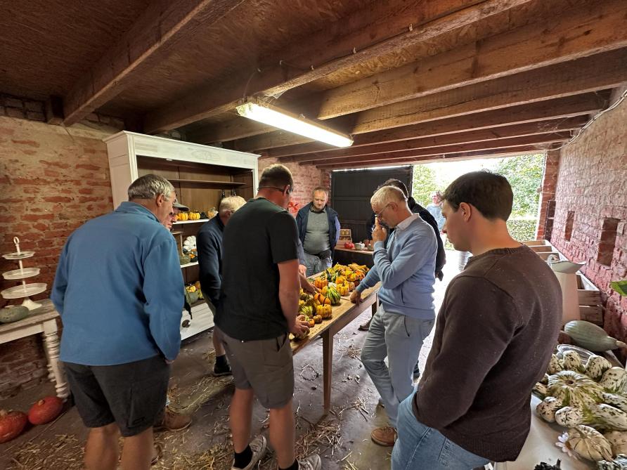 Pompoenen in alle vormen, maten en kleuren bij de gebroeders Maes in Stavele.