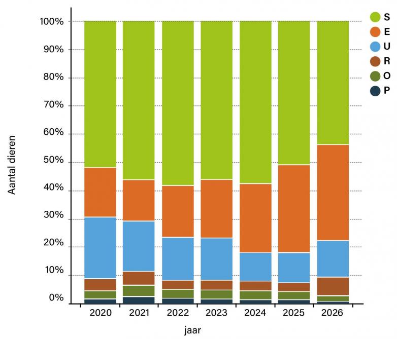 Figuur 1: Verdeling van karkassen van jonge stieren (categorie A) volgens bevleesdheid. De gegevens van 2026 lopen tot en met januari.