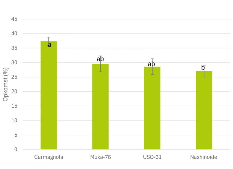 Figuur1: Opkomstpercentage rassenproef aangelegd bij het PVL.