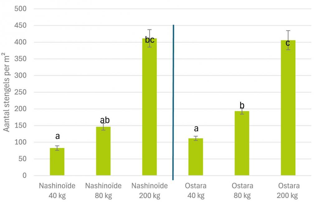 Figuur 2: Aantal stengels per m² bij zaaidichthedenproef aangelegd bij het PVL.