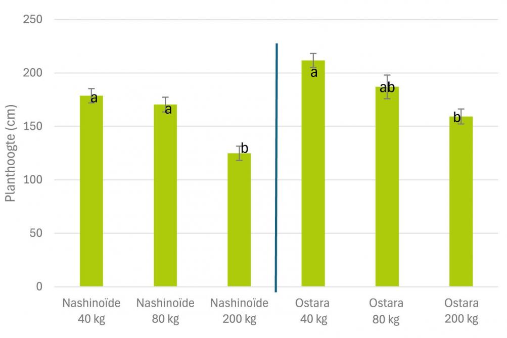 Figuur 3: planthoogte (cm) bij zaaidichthedenproef aangelegd bij het PVL.