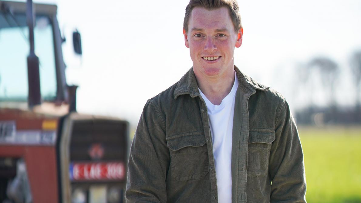 Stijn houdt vleesvee in Houthulst.