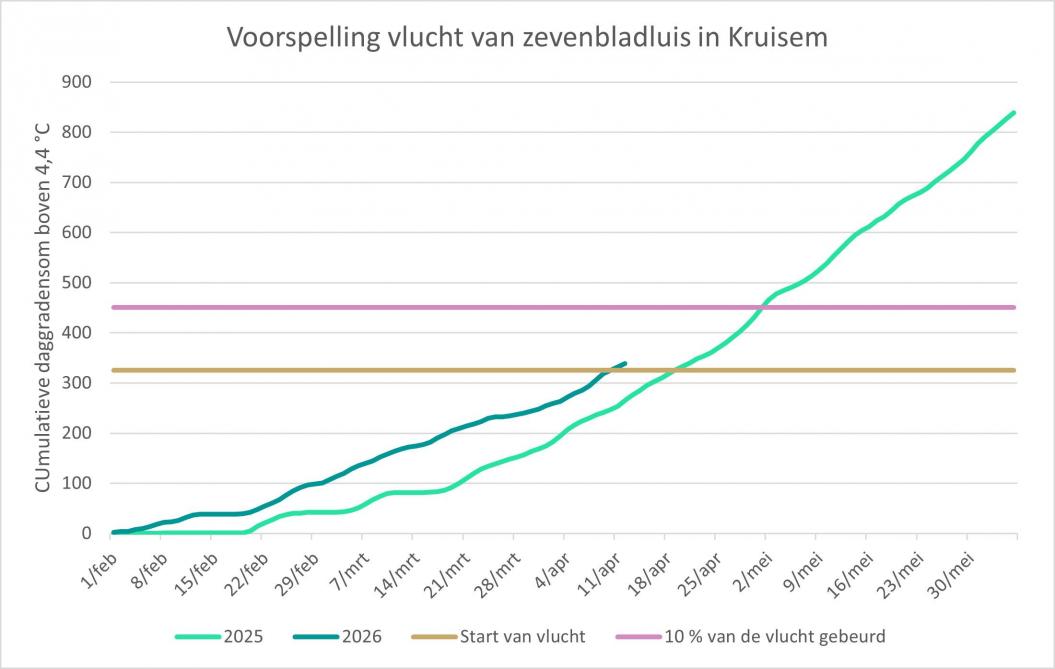 Figuur 1. Voorspelling vlucht van de zevenbladluis in Kruisem.
