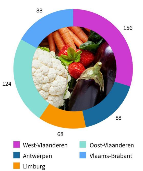 Figuur 3: Aantal verwerkers van groenten en fruit in de korte keten per Vlaamse provincie in 2026.