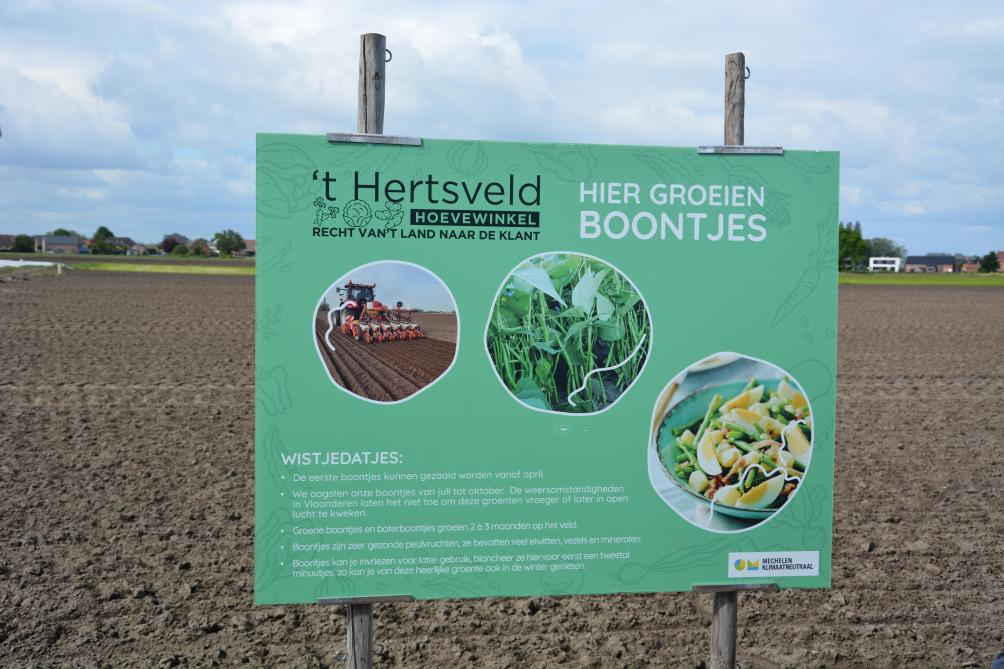 Stijn plaatste een infobord met interessante ‘Wist je datjes’ naast zijn bonenperceel.