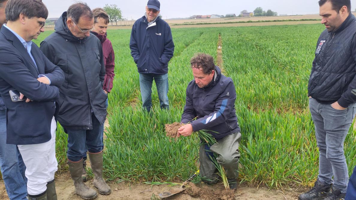 Teeltbegeleider Stefan Muijtjens ging in op de impact van agro-ecologische praktijken op de rhizosfeer.