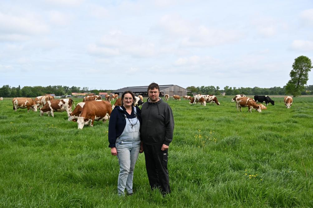 Joris en Annelies bij hun koeien, met op de achtergrond hun houten melkveestal.