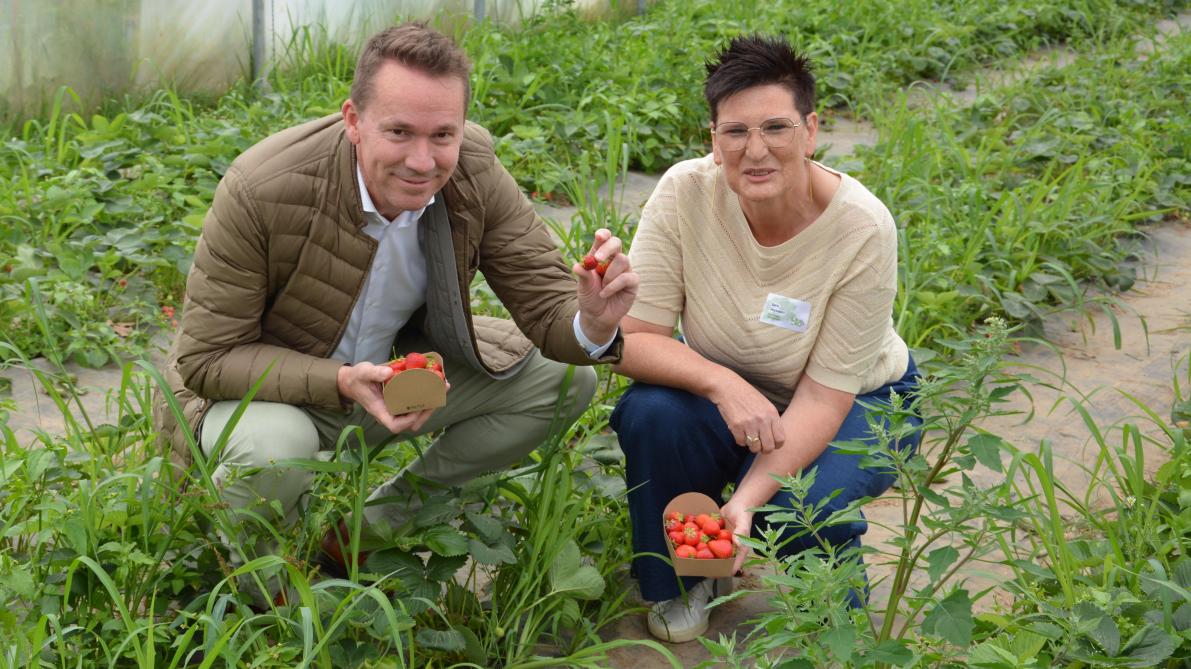 Minister Brouns met directrice van Den Diepen Boomgaard Sara Heyvaert in de zelfoogsttunnel voor aardbeien.