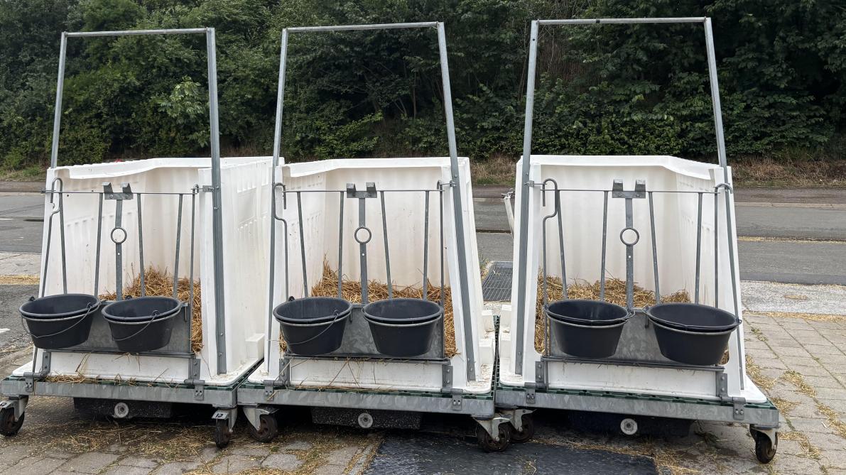 Door aandacht te besteden aan uitvoering, materiaalkeuze en praktische haalbaarheid kunnen veehouders de infectiedruk in de kalveropfok aanzienlijk verlagen.