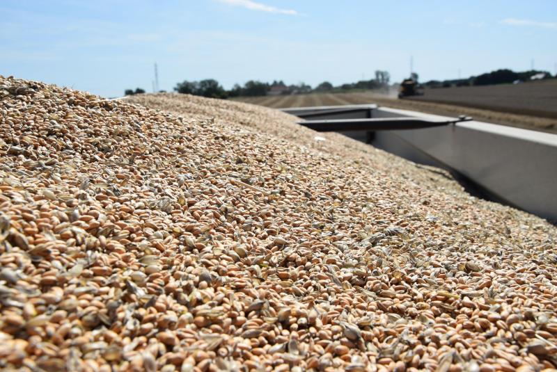 Zelfs voor droog graan rekent Fegra voor het eerst een forfaitaire hogere droogkost aan. Agrofront vindt dit onaanvaardbaar.