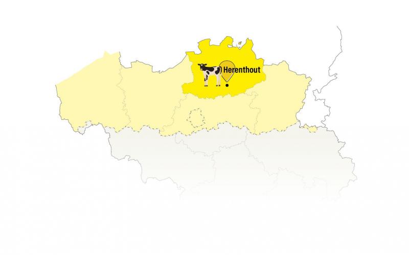 carte-Herenthout (2).web