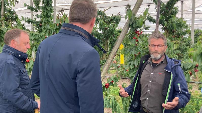 Hugo Jacobs legt minister Jo Brouns en Filip Fontaine van VLAM uit hoe hij te werk gaat op zijn biologisch fruitbedrijf.