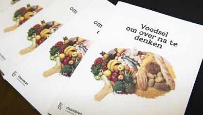 Na het boek zijn de sectoroverzichten ook online beschikbaar.
