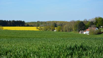 paysage_5