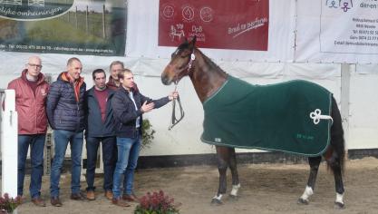 Picasso van ‘t Koningsbos, winnaar bij de tweejarigen.