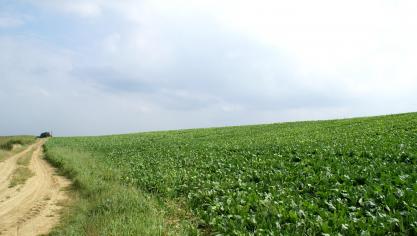 DSC07603