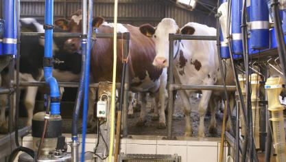 Sedert afgelopen oktober is Milcobel weer onder het gemiddelde terecht gekomen.