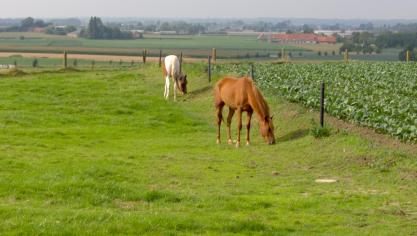 06maart