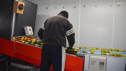 Het is positief dat het aantal gemelde vacatures opnieuw aansluit met de trend van vorige jaren.