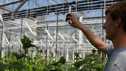 Biologisch telen vraagt niet alleen markt- en productkennis, maar ook  passie.