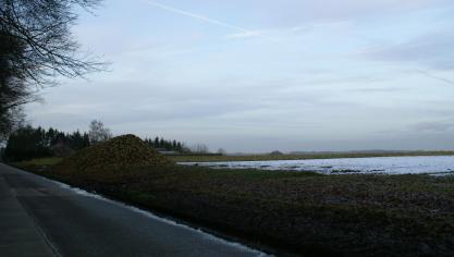 DSC01455