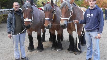 Vader en zoon Rudi en Thomas Callebaut uit Sint-Ulriks-Kapelle met hun lot van drie merries.