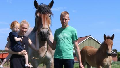 Jens Teerlinck samen met zijn vrouw Josephine en hun tweejarige dochter Louise samen met de zesjarige merrie Gina en haar veulen Marie van de Rinkerakker.