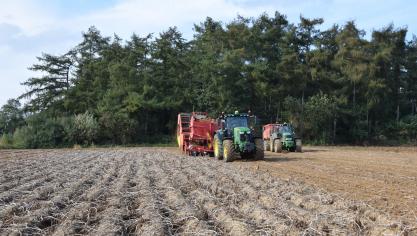 Tijdens de zomer vermoedden we het al, bij de oogst is het bevestigd:  er zijn door de droogte duidelijk minder aardappelopbrengsten.