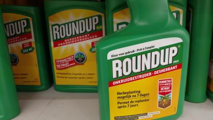 Bayer blijft erbij dat glyfosaat, het hoofdbestanddeel van Roundup, veilig is.