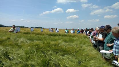 De wintergerstrassen staan er alvast veelbelovend bij op het proefplatform in Huldenberg.