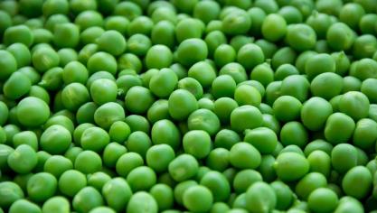 pea-1205673_960_720