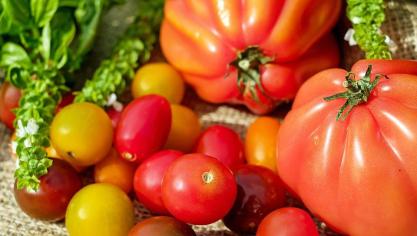 tomatoes-1586981_960_720
