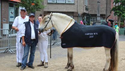 Dagkampioene West-Vlaanderen Hermine of Stal Valentin, eig. Marc Warreyn uit Wulpen-Oostduinkerke.